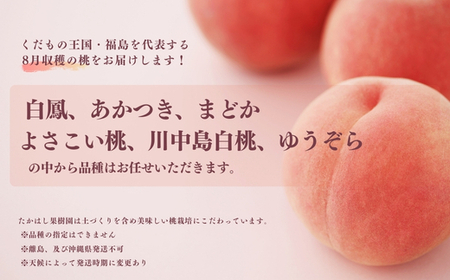 No.2531たかはし果樹園の桃　8月収穫約2kg【2026年発送 先行予約】