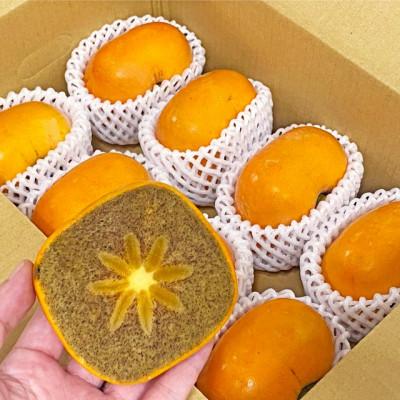 ふるさと納税 紀の川市 【秀品】 紀の川柿 黒蜜のような濃厚な甘み 約10kg
