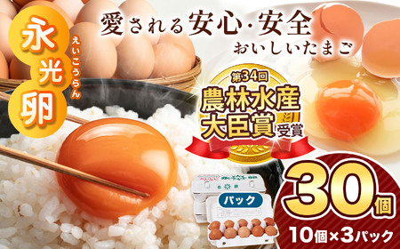 定期便 3回 ベストグルメ 便 ねぎとろ 永光卵 ミニトマト 君津市 オリジナル