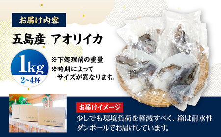 【1週間以内発送】アオリイカ 1kg（2〜4杯） [PEP005]  イカ 水いか 肉厚 いか 小分け 下処理済 冷凍 刺身 真空パックスピード発送 最速発送 最短発送