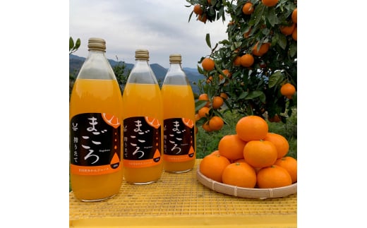 L099　まごころ搾りたて有田産みかんジュース１０００ｍｌ　３本入り