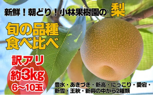 【訳アリ！先行予約】小林果樹園の梨 6～10玉 約3kg