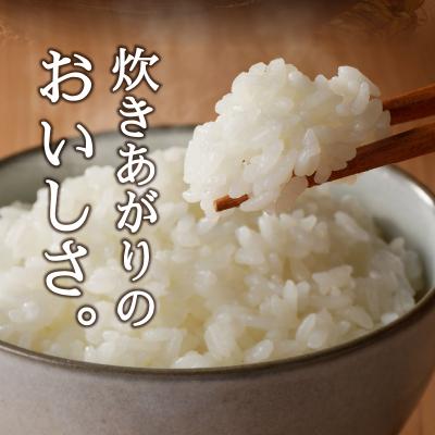 ふるさと納税 焼津市 特別栽培 きぬむすめ 白米5kg(a21-076) |  | 02