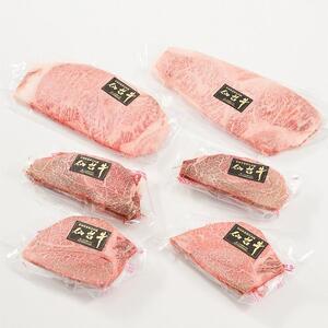【角田産仙台牛A5ランク】豪華ステーキセット（ヒレ600g（3～5枚）・サーロイン500g（250g×2）） 仙台牛