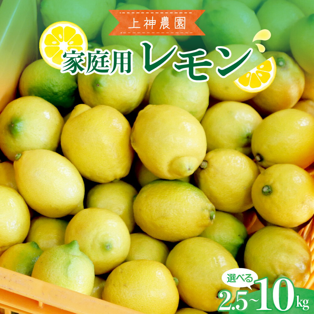 【ふるさと納税】先行予約 上神農園 家庭用 広島産 レモン 選べる 約 2.5kg / 約 5kg / 約 10kg 【 2026年 11月～発送】 檸檬 柑橘 果物 フルーツ 果汁 ジュース お取り寄せ 国産 栽培期間中低農薬 防腐剤 ワックス不使用 傷 不揃い ご自宅用 数量限定 お試し 広島県 呉市