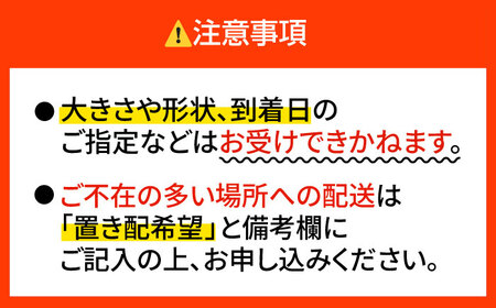 キャンプやBBQに！焚付薪小割り「杉」×1締め / 佐賀県 / 旬菜舎さと山 [41AABM016]