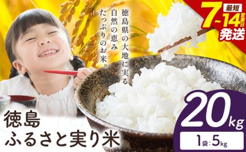 【最短7日発送】 もちもち美味しい！ 徳島ふるさと実り米 精米 20kg 徳島県 上板町 お米 米 白米