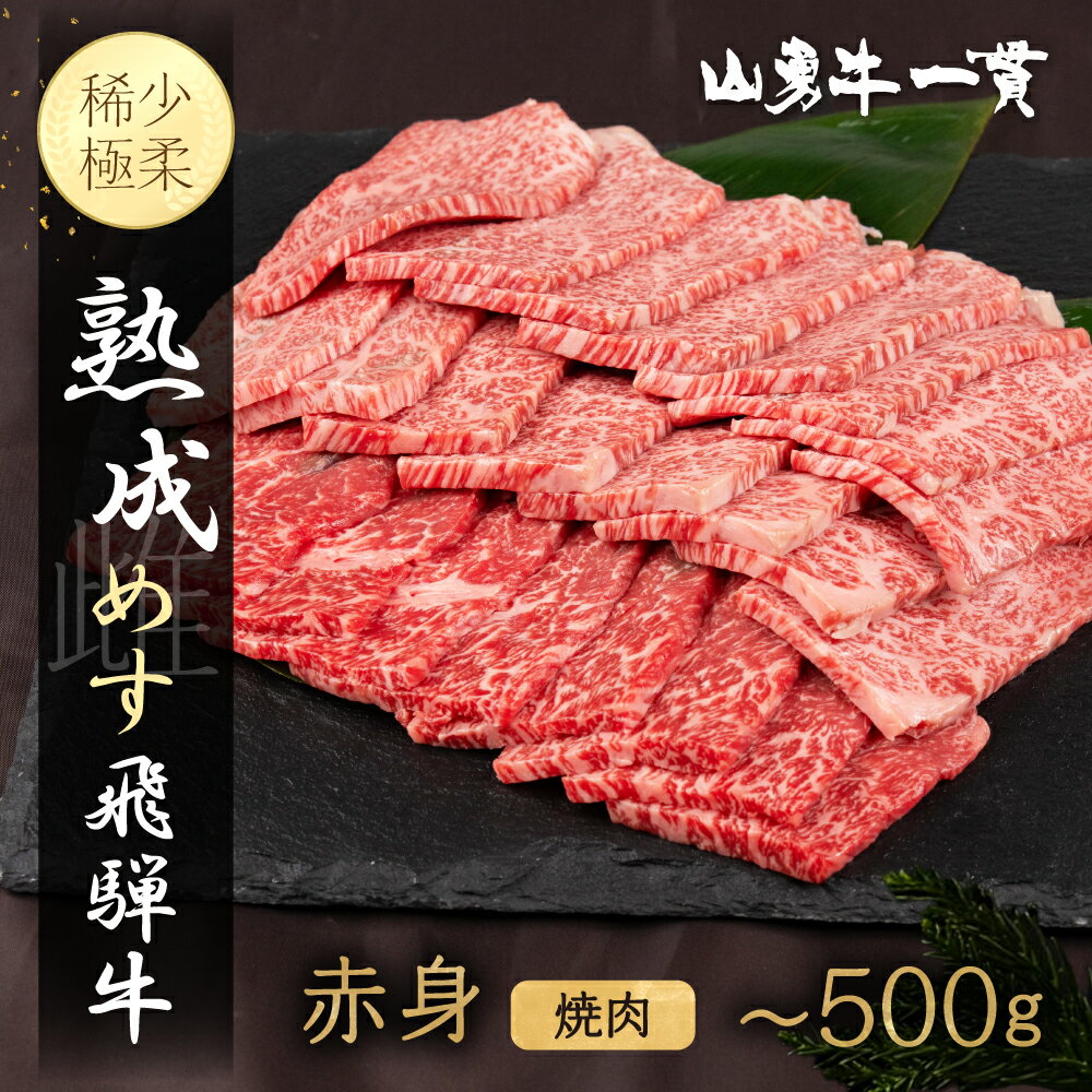 【ふるさと納税】飛騨の牧場で育った熟成飛騨牛『山勇牛』 赤身 焼肉用 300g／500g A4 A5 牛肉 肉 和牛 国産 飛騨牛