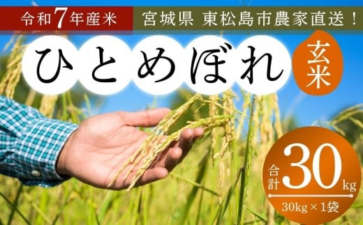 【 令和7年産】【新米】 ひとめぼれ 玄米 30kg × 1袋 宮城県産東松島市農家直送 ヒトメボレ 米 ご飯 ごはん おにぎり お弁当 お米 こめ 宮城県 東松島市 オンラインワンストップ 自治体マイページ