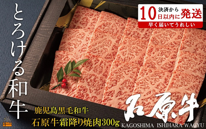 
2247 世界が絶賛した“とろける和牛”幻の石原牛 霜降り焼肉300g ( 鹿児島黒毛和牛 ブランド牛 牛肉 ビーフ こだわり プレミアム オメガ３脂肪酸 贈答 ギフト 徳之島 奄美 鹿児島 美味しい 霜降り 脂身 ステーキ 焼肉 BBQ 世界基準 石原PRO 決済後10日以内発送 )
