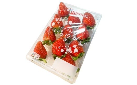 茨城県産いちご いちのか 大粒から中粒いちごパック 2パック入り箱｜ファーマ村 ファーマインド いちご いちのか かおりの スイーツ フルーツ 果物 [1890]
