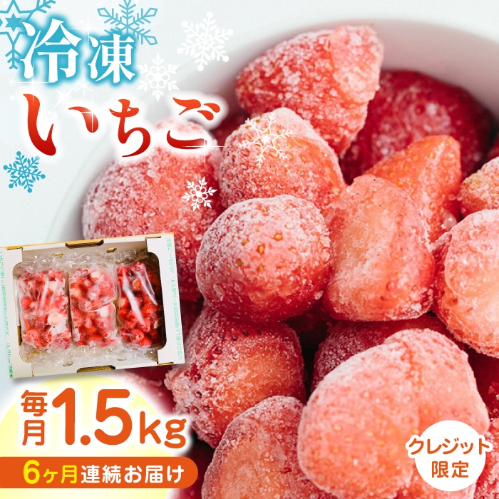 【全6回定期便】【数量限定】 熊本県産 冷凍イチゴ 計1.5kg ( 500g × 3P ) 山都町産 産地直送【なかはた農園】[YBI019]
