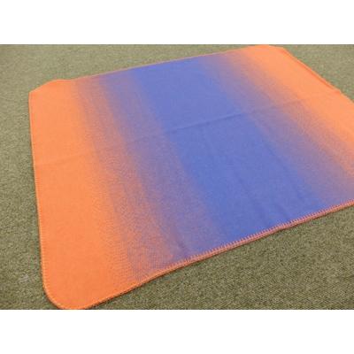 ふるさと納税 忠岡町 【数量限定】ペット用ブランケット「パティーケット」　色:ブルー