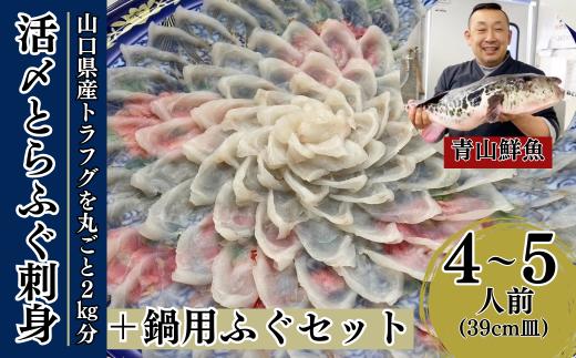 ふぐ 【北海道・東北・沖縄・離島配送不可／着日指定必須】2025年11月以降発送 活とらふぐ刺身 鍋用ふぐセット 4～5人前 【ふぐ フグ 河豚 トラフグ 活とらふぐ 刺身 鍋用ふぐセット ふぐ刺し ふぐ刺身 ふぐ料理 山口県産 トラフグ刺身 ふぐ刺し ポン酢 もみじおろし 長ネギ ちり鍋 雑炊 ひれ酒 ふぐあら 2025年発送】