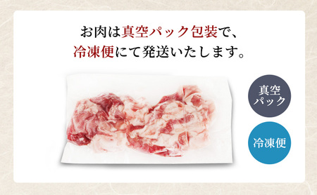 豚肉 千葉県産 小間切れ 飯田プレミアムポーク 豚肉【3kg(250g×12)】【定期便3ヶ月】【冷凍】