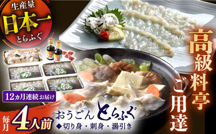 
            ＜全12回定期便＞【高級とらふぐをご家庭で】活〆 おうごん とらふぐ 贅沢セット（4人前） 平戸市 / 松永水産 [KAB149]
          
