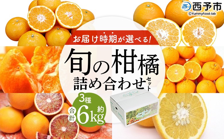 
            ＜お届け時期が選べる！旬の柑橘 詰め合わせセット 3種×各2kg＞ 果物 フルーツ みかん ミカン 蜜柑 柑橘 オレンジ ブラッドオレンジ なつみ はるか ネーブル ポンカン 甘夏 特産品 宇都宮物産 愛媛県 西予市【常温】『1月～5月から出荷月をお選びください』
          