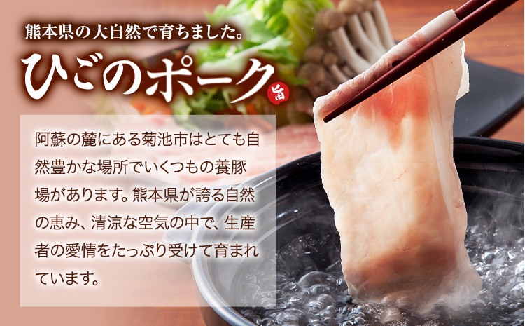 豚肉 ひごの ポーク バラエティ セット 4.8kg 豚肉 しゃぶしゃぶ 切り落とし 豚ロース バラ 豚バラ スライス 以上 真空 お楽しみセット 不揃い 数量限定 簡易包装 冷凍配送 小分け 《1月