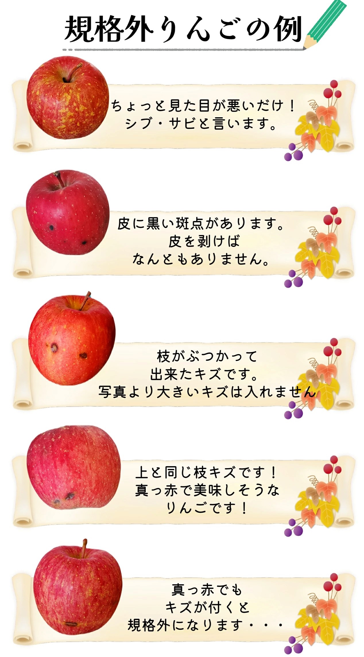 【2026年6月上旬発送】【規格外】 りんご 有袋ふじ 約5kg スマートフレッシュ™貯蔵 または CA貯蔵 【クール便】