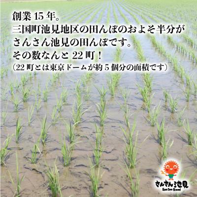 ふるさと納税 坂井市 【令和6年産先行受付】さんさん池見二代目が笑顔で育てたコシヒカリ 玄米 10kg[A-0232] |  | 03