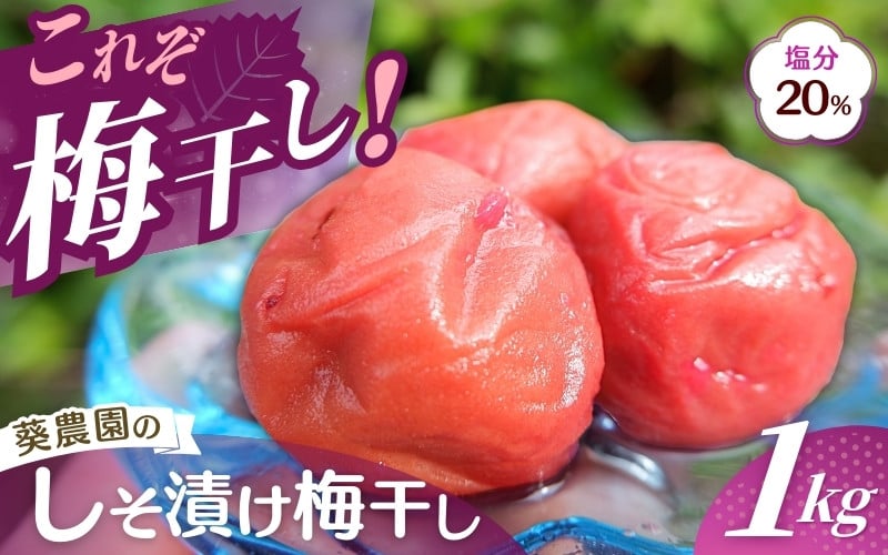 
紀州南高梅 しそ漬け梅 1kg 塩分20％ 添加物不使用 / 梅 うめ ウメ 梅干し 梅干 しそ 紫蘇 シソ しそ漬け 紫蘇漬け 南高梅 紀州南高梅 和歌山県 田辺市
