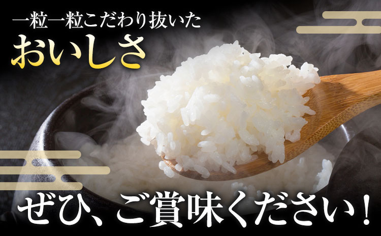 令和7年産 米 くまさんの輝き 白米 10kg 鶴地区龍の里ふるさと会《10月上旬-11月上旬頃出荷》熊本県 天草 苓北町 鶴 地区 龍 の里 国産 九州 熊本 名水 百選 10キロ 送料無料---r