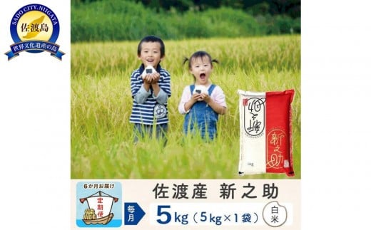 
            【新米予約 6か月定期便】佐渡島産 新之助 白米5Kg 令和7年
          