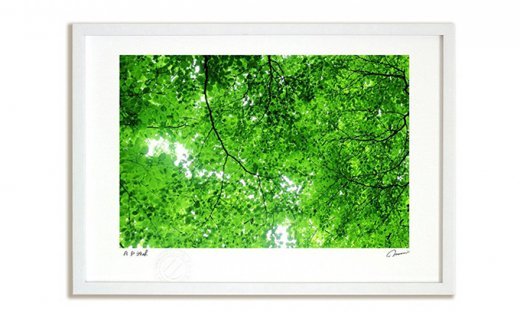 木漏れ日（2014）LLサイズ A2 アートフォト ジクレー版画 額縁付き 風景画 風景写真 新緑 グリーン 森林 自然風景 高級アート紙 非光沢 反射しにくい 天然木フレーム 額入り 壁掛け インテリアアート 署名・エディション番号入り 壁掛けフック付き 玄関 リビング 寝室 書斎 限定制作 埼玉県白岡市 あゆわら