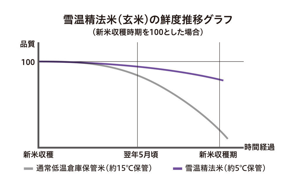 【令和7年産】雪温精法　佐渡産こしひかり10kg