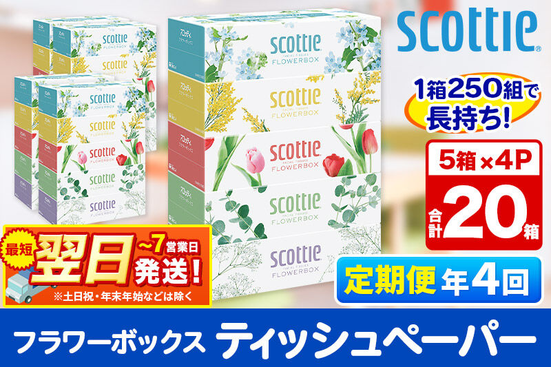 《3ヶ月ごとに4回お届け》定期便 ティッシュペーパー スコッティ フラワーボックス250組 20箱(5箱×4パック) ティッシュ 秋田市オリジナル 最短翌日発送 [ティッシュ スコッティ(SCOTTI