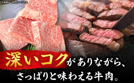 【三木町産】オリーブ牛ロースステーキ 500g×1枚（2ピース）｜国産 国産牛 牛肉 オリーブ牛 選べる内容量 牛 500g ブランド牛 牛ロース ステーキ お肉 小分け 冷凍 贈答 贈り物 香川県 
