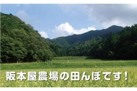 丹波篠山産　特Aランク　越　光　（５kｇ×２袋） Y021