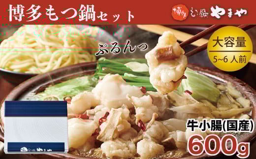 もつ鍋 やまや 博多もつ鍋 牛もつ 600g たっぷり セット 5～6人前 ちゃんぽん麺 薬味付 [やまやコミュニケーションズ 福岡県 宇美町 um40azo860004] もつ鍋セット モツ鍋 国産 牛モツ 牛ホルモン