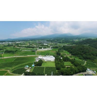 ふるさと納税 小諸市 日本ワイン ソラリス 小諸 メルロー ワインセット 750ml×6本 赤ワイン |  | 03