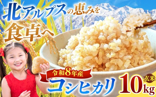 【令和8年産先行予約】コシヒカリ 玄米 約10kg  | 米 こめ コメ お米 玄米 コシヒカリ 長野県 松川村 信州