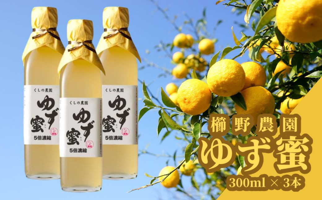 
ゆず蜜セット(計900ml・300ml×3本)ゆず 柚子 自家製 果汁100％ はちみつ 蜂蜜 大分県産 セット【100600100】【櫛野農園】
