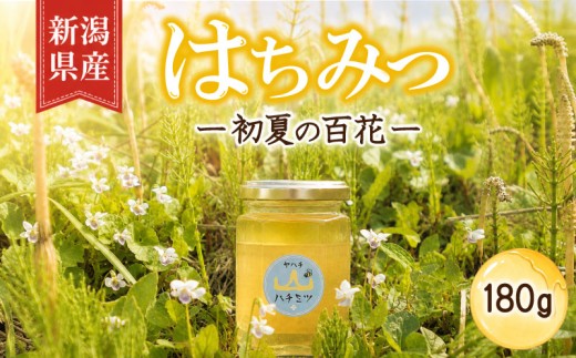 【令和8年産】 はちみつ 国産 180g 瓶 初夏の百花 セイヨウミツバチ 百花 蜂蜜 ハニー 純粋はちみつ ミツバチ 防災グッズ 保存 備蓄 防災食 非常食 保存食 弥八養蜂 新潟県 新発田市 yahachi001_01