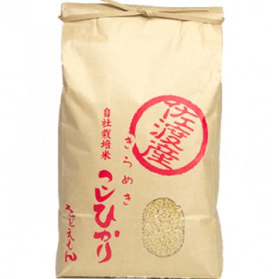 ふるさと納税 佐渡市 自社栽培米新潟県【佐渡産】こしひかり(玄米10kg) |  | 01