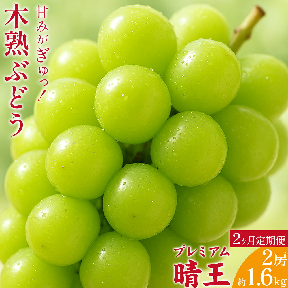 【ふるさと納税】【2ヶ月定期便】木熟ぶどう 晴王 船穂産 赤秀 2房 1.6kg以上 ×2回お届け ハレノフルーツ《9月上旬-10月末頃出荷》岡山県 浅口市 シャインマスカット フルーツ 果物 デザート【配送不可地域あり】
