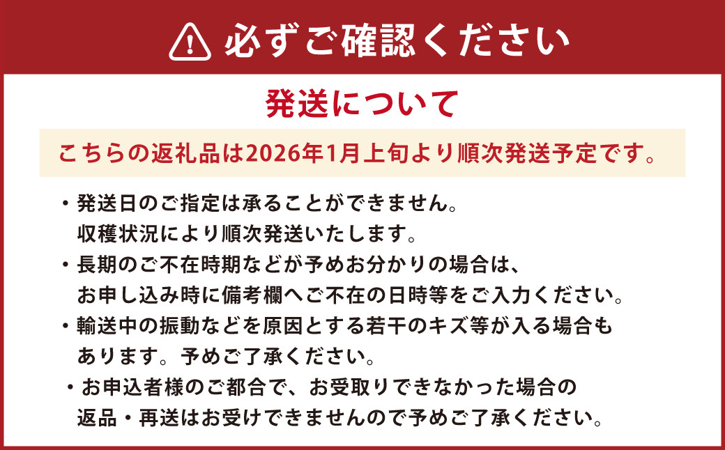 【贈答用】朝摘み当日発送！熊本県産いちご(ゆうべに)(1箱9~12粒大玉）