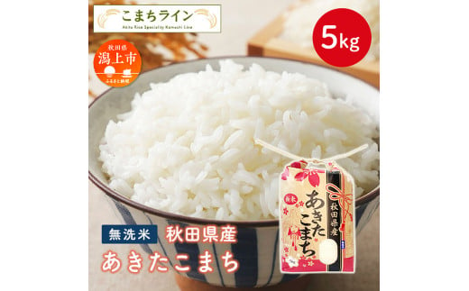 《令和6年新米先行予約》 無洗米 あきたこまち 5kg 米 一等米 訳あり わけあり 返礼品 こめ コメ 5キロ ふっくら 甘い 人気 おすすめ グルメ 故郷 ふるさと 納税 秋田 潟上市 一人暮らし 【こまちライン】