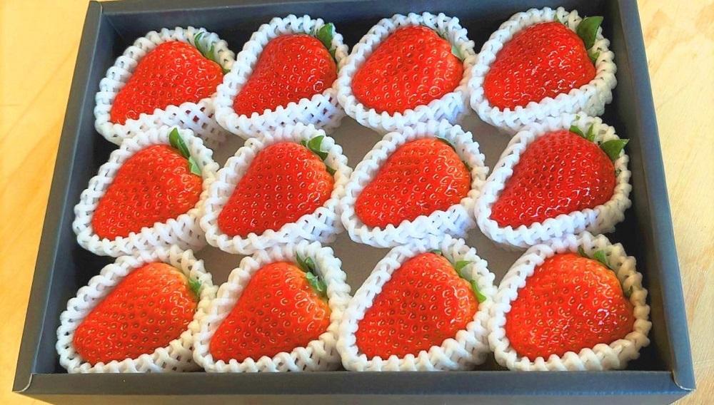 超特選☆いちご【まりひめ】2026年1月中旬から4月下旬まで発送【KF8】	BE90007   