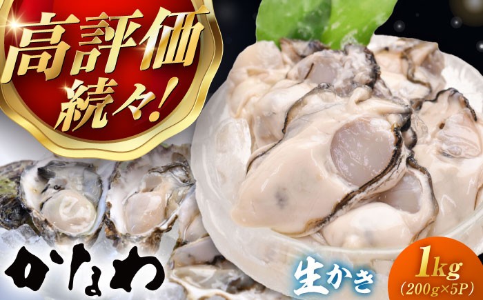 
                  【生牡蠣】 かなわの生牡蠣 むき身200g×5パック 計1kg 江田島市／株式会社かなわ [XBP004]｜生牡蠣 牡蠣 生食 むき身 かき カキ 生牡蠣 広島牡蠣 オイスター 冬かき 魚介類 魚介 貝類 海鮮 広島県産 国産 産地直送 贈答 ギフト 特産品
                