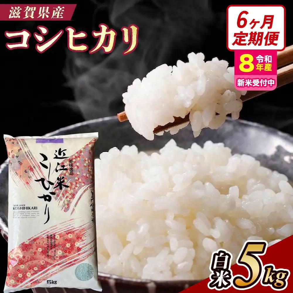 【令和8年産 新米】【定期便】近江米コシヒカリ 5kgx6回定期便（精米）