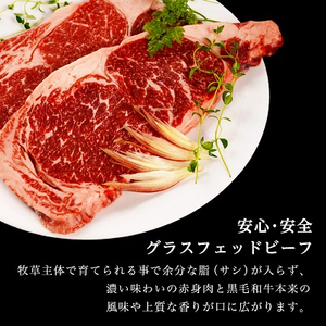 和牛道ステーキセット(サーロインステーキ200g・リブロースステーキ200g)【配送不可地域：離島】【1397947】