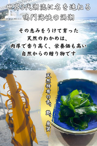 【漁師直送】天然なるとわかめ 200g×5袋 【 減塩 】 鳴門わかめ わかめ 天然 国産 希少 人気 湯通し 塩蔵 味噌汁 みそ汁 スープ お刺身 サラダ 酢の物 和え物