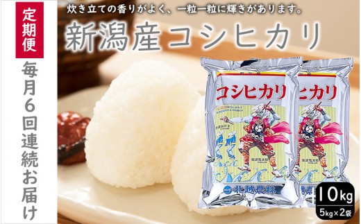 こしひかり 新潟産 コシヒカリ 10kg 毎月6回 連続でお届けします。定期便 米 お米 こめ コメ ごはん 新潟 白米 コシヒカリ ブランド米 銘柄米 お取り寄せ 産地直送 