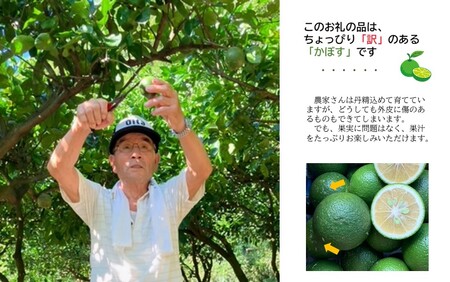 2473R-2【先行予約】【訳あり】【選べる容量】農家直送！竹中農園 かぼす 約3kg
