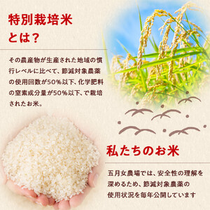 【6か月定期便】農家直送のパックごはん☆五月女農場のごはん（150ｇ×20個）