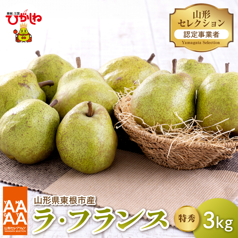 【令和8年産 先行予約】山形セレクション　ラ・フランス 3kg 山形県 東根市 鈴木農園提供 hi069-017